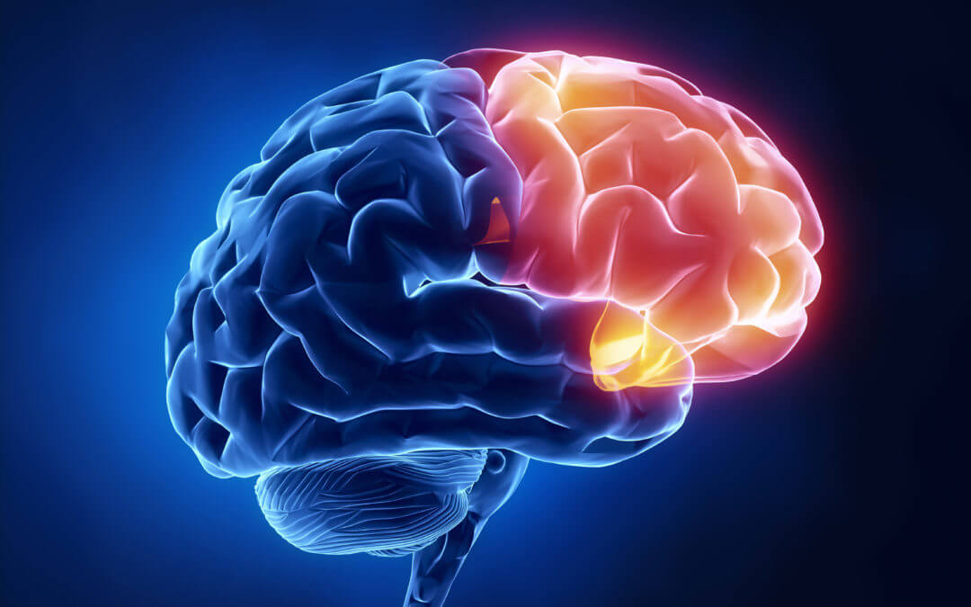 cerveau zone pré-frontale analyse avant tir